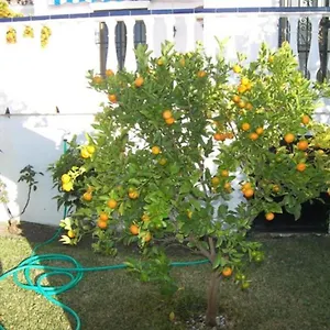 Сasa de vacaciones Capistrano1